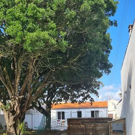 Le Clos De La Borde * Saint-Pierre-d'Oleron